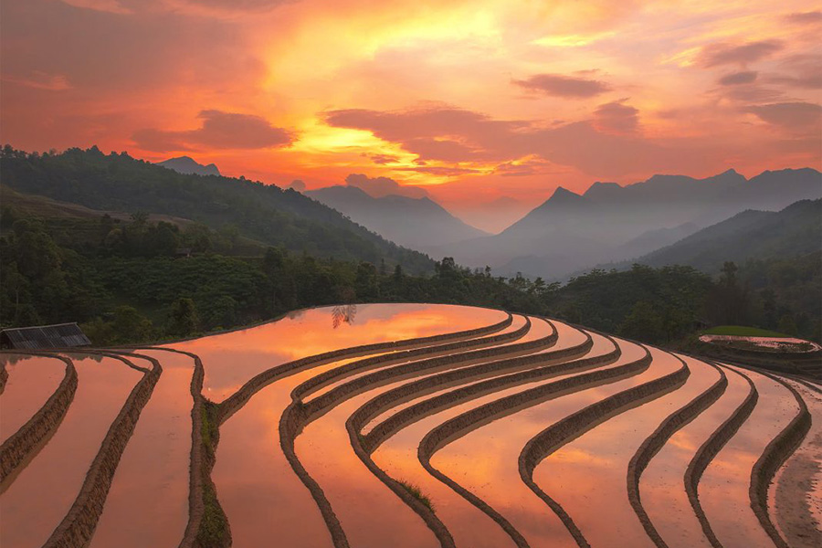 Magie des rizières inondées à l’aube – Un moment suspendu à vivre absolument lors d’une randonnée dans les rizières au Nord du Vietnam.
