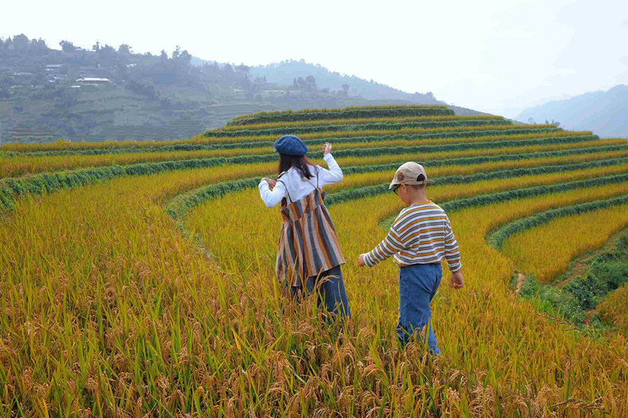 Randonnée dans les rizières au Nord du Vietnam – Une expérience inoubliable à partager en famille au cœur des vallées dorées de l’automne.