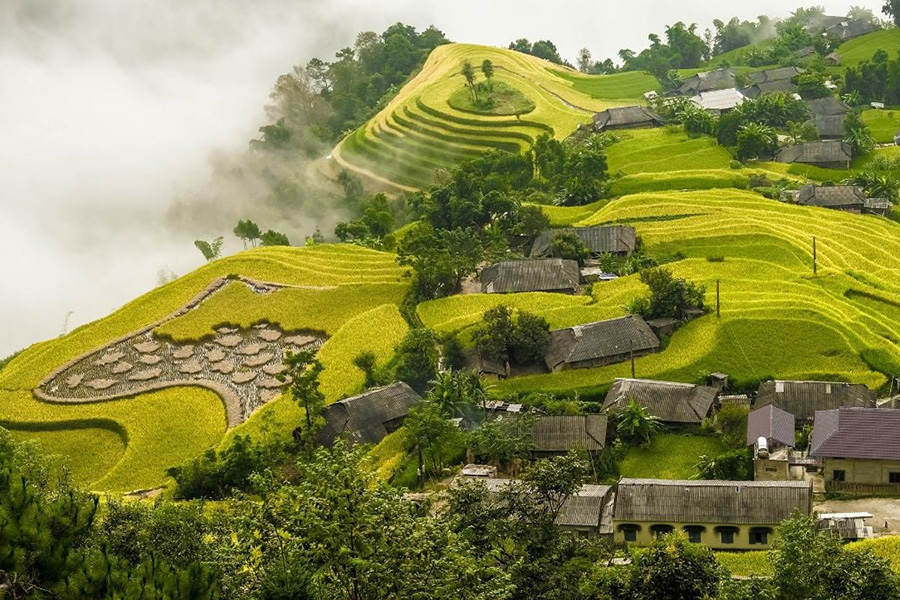 Hoang Su Phi et ses rizières en nuage 
