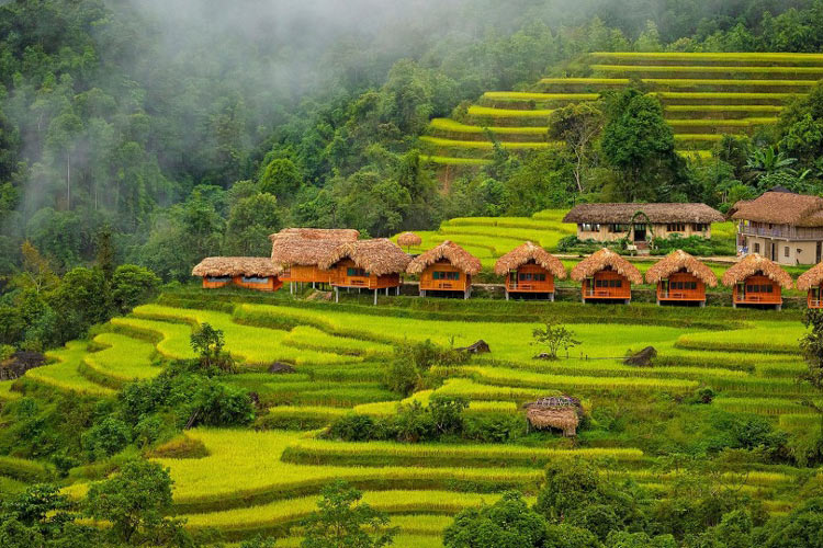 Eco-lodges