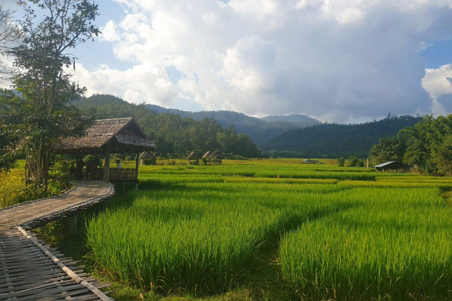 Road trip en Thaïlande du Nord : Itinéraire et conseils pratiques