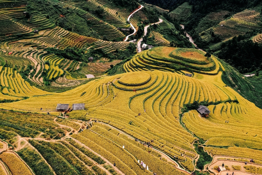 Saison des miroirs rizieres en terrasse a mu cang chai