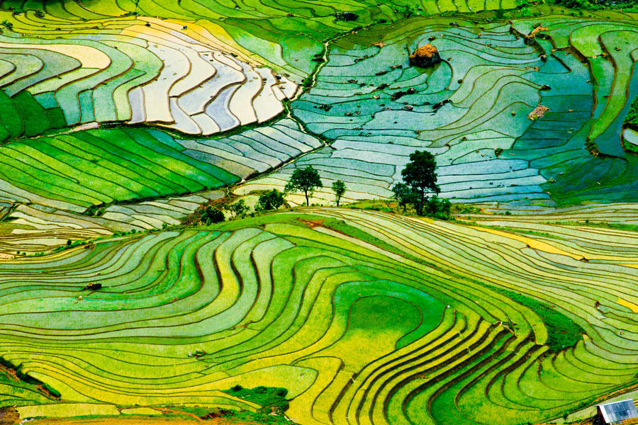Le climat de Sapa peut être divisé en plusieurs saisons