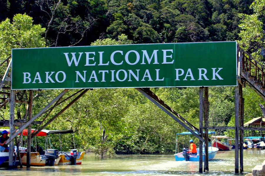 Parc national de Bako à Sarawak offre paysages côtiers variés