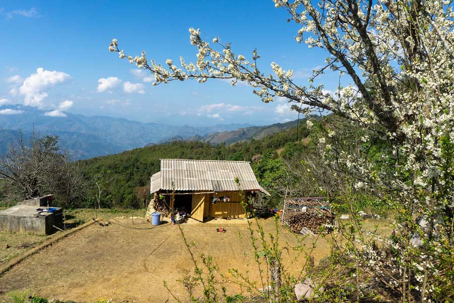 SIn Ho à Lai Chau - la nature magnifique 