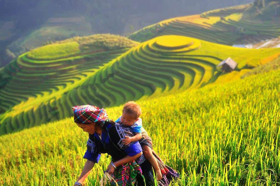  Le printemps et l'automne révèlent toute la magie des sites du Nord-Ouest du Vietnam