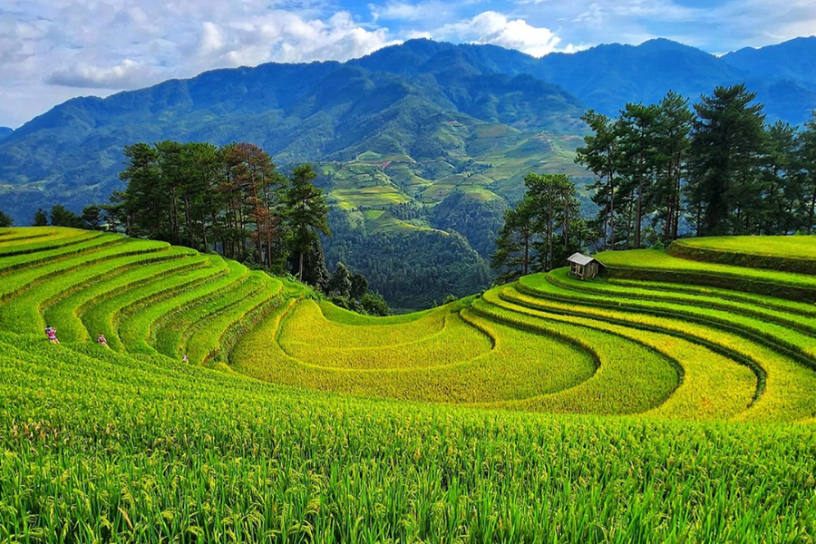 Mu Cang Chai est l'un des sites dans le Nord-Ouest du Vietnam