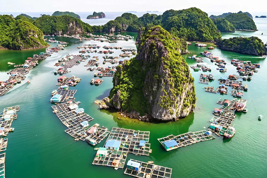 Découverte des villages de pêcheurs locaux en famille dans la baie d’Ha Long