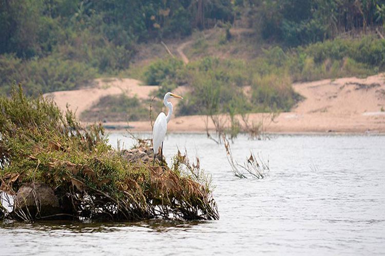 Stung Treng est célèbre pour ses nombreuses rivières grandes et majestueuses