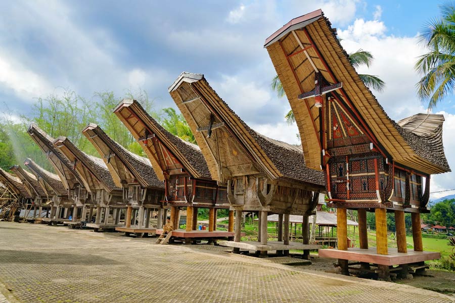 Les maison traditionnelles de Tonkonan à Sulawesi du Sud