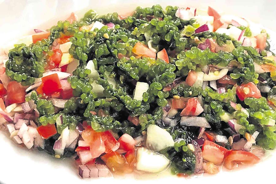 La salade de fruits de mer combinée au lato fera exploser les papilles des touristes de Surigao del Norte