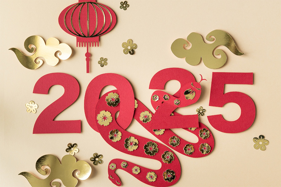 Un aperçu complet du Têt 2025 au Vietnam L’année de serpent “At Ty”