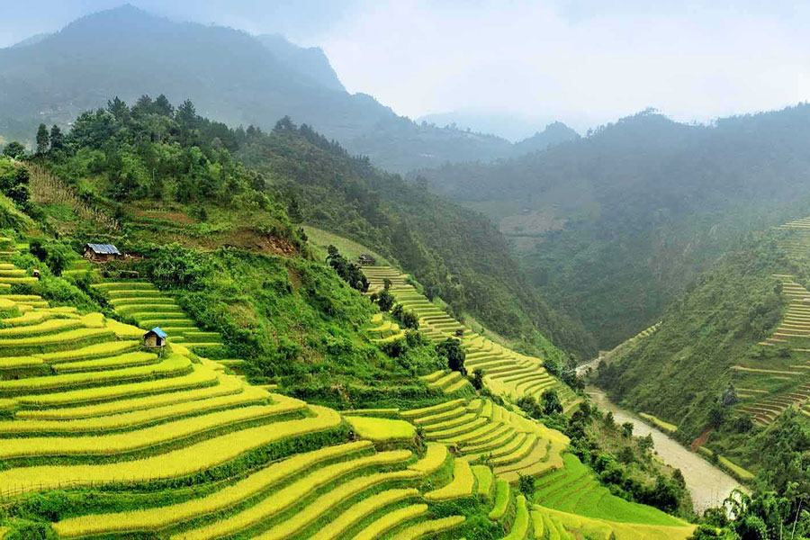 Thaïlande ou Vietnam : Quelle destination choisir pour un circuit de 15 jours ?