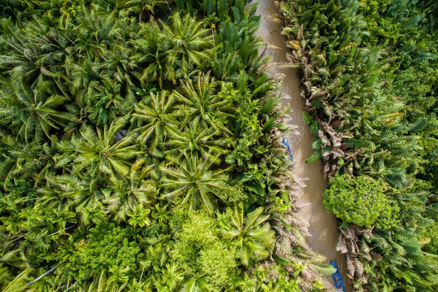 balade en barque sous les cocotiers d eau a ben tre delta du mekong