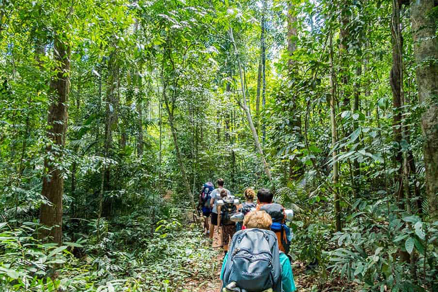 Trek dans les montagnes autour de Chiang Mai, au nord Thaïlande