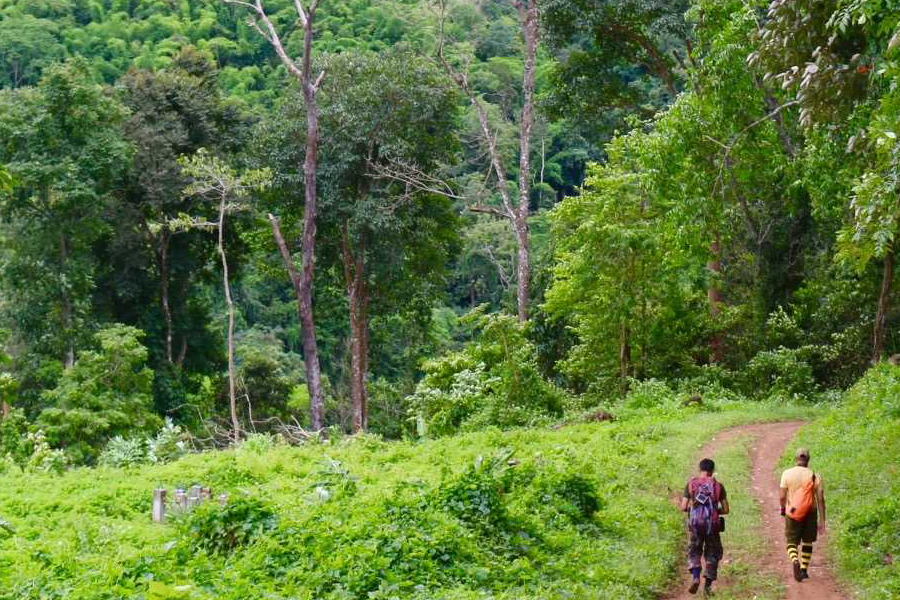 Chiang Mai, point de départ idéal pour un trek dans le nord thaïlandais