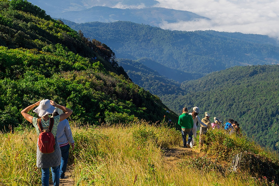 Nature sauvage à Doi Inthanon, idéale pour un trek