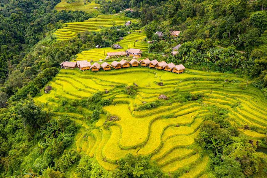 Trekking à Hoang Su Phi : Pourquoi choisir cette destination ?