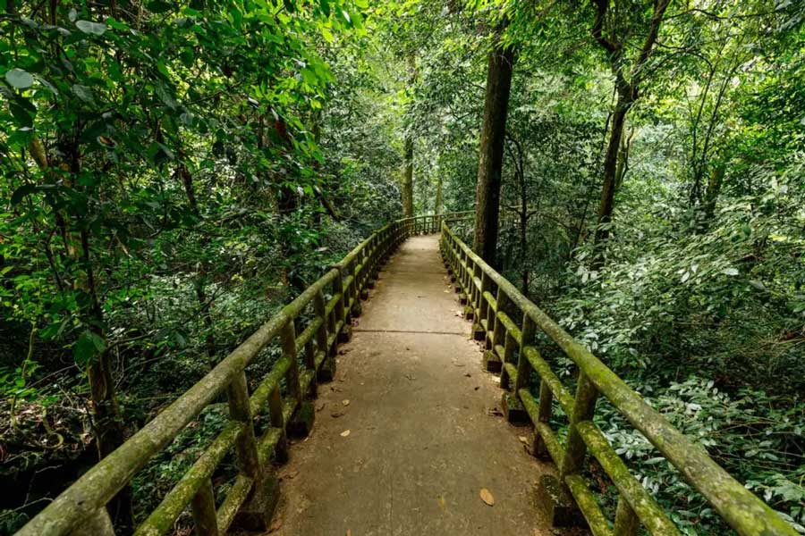Trekking au parc national de Cuc Phuong