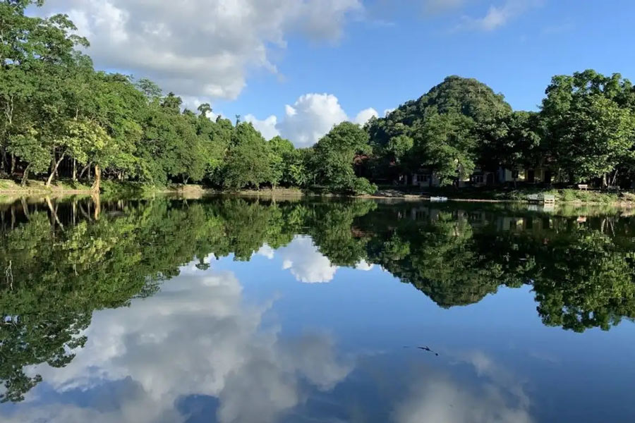Trekking au parc national de Cuc Phuong