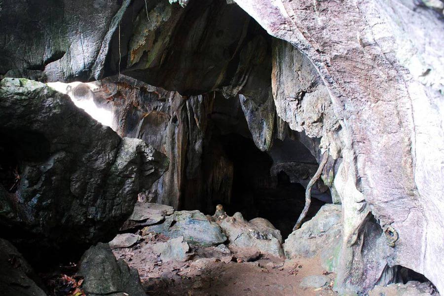 Trekking au parc national de Cuc Phuong