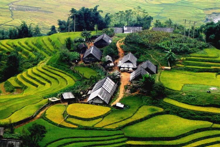 Village de Cat Cat se trouve à proximité de la ville montagneuse se Sapa, à Lao Cai
