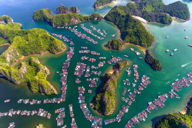 Vue aérienne du village flottant de Cai Beo dans la baie de Lan Ha