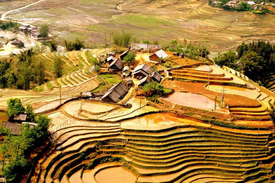 Villages à Sapa 
