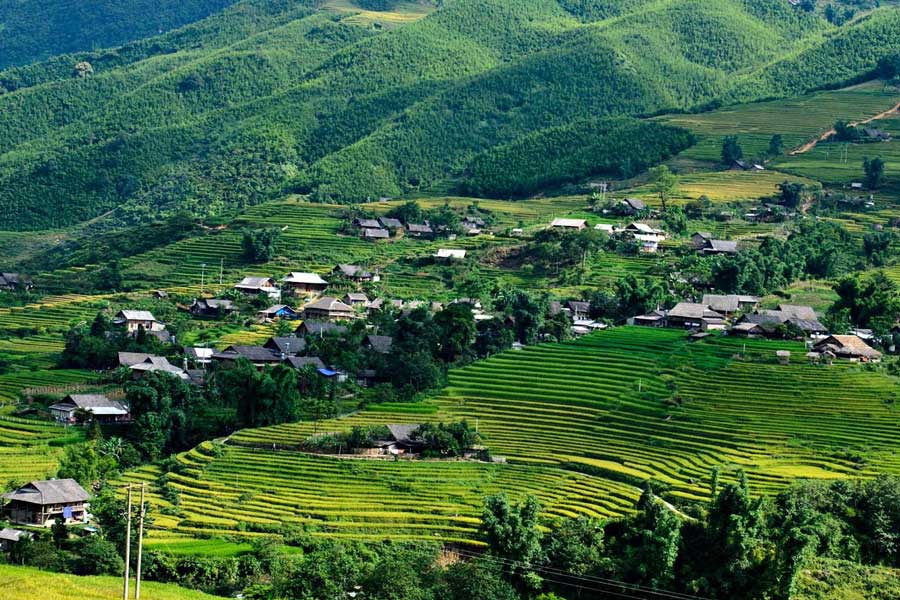 Villages à Sapa 