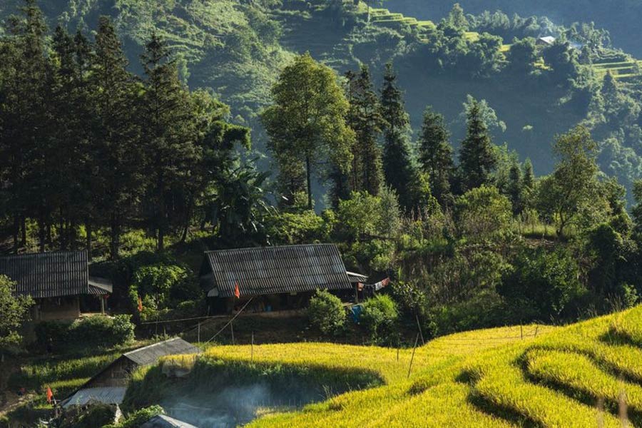 Villages à Sapa 