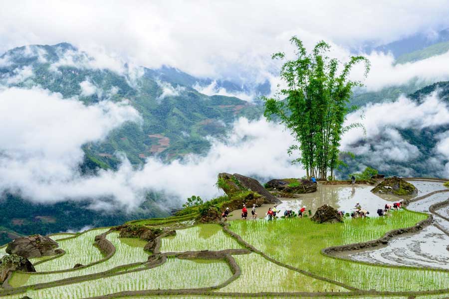 Top 5 des plus beaux villages authentiques du Nord Vietnam à découvrir hors des sentiers battus