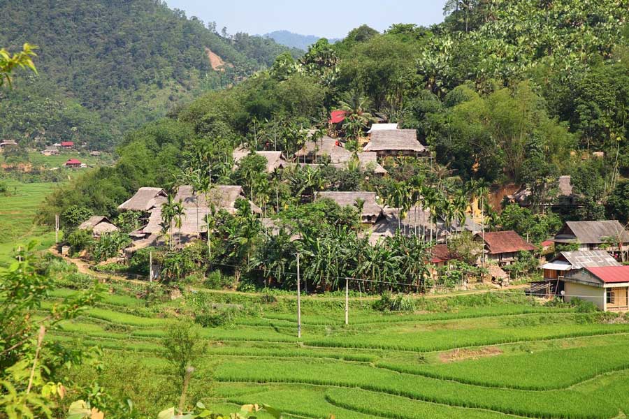 Top 5 des plus beaux villages authentiques du Nord Vietnam à découvrir hors des sentiers battus