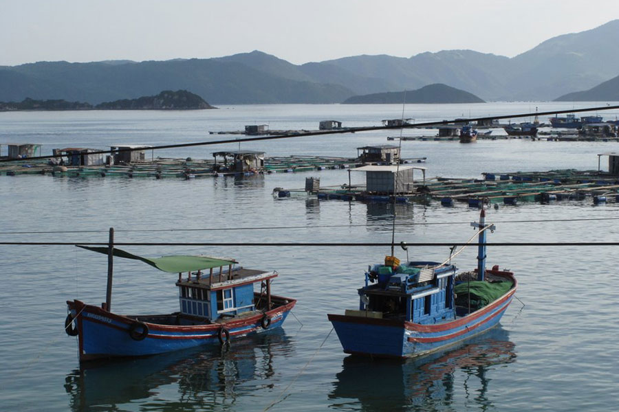 Tranquillité matinale à Dam Mon, l'un des villages des pêcheurs à Khanh Hoa