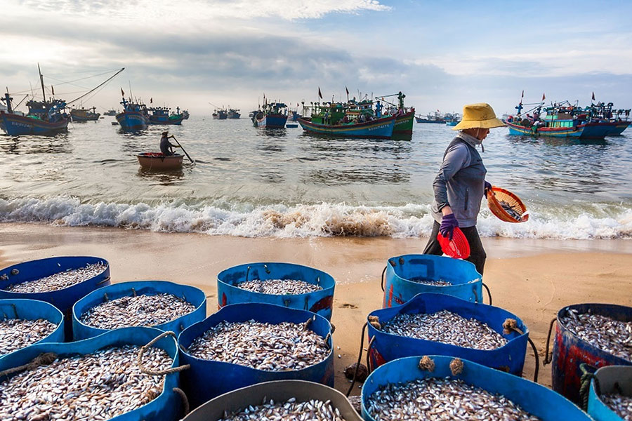 La mode de vie authentique aux villages des pêcheurs à Khanh Hoa