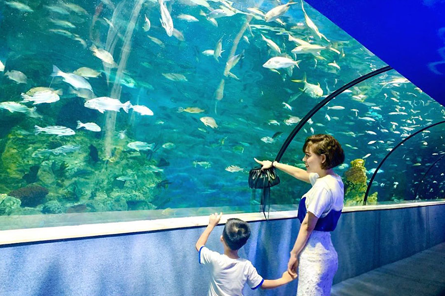 L’aquarium de Hanoï propose une découverte éducative du monde marin