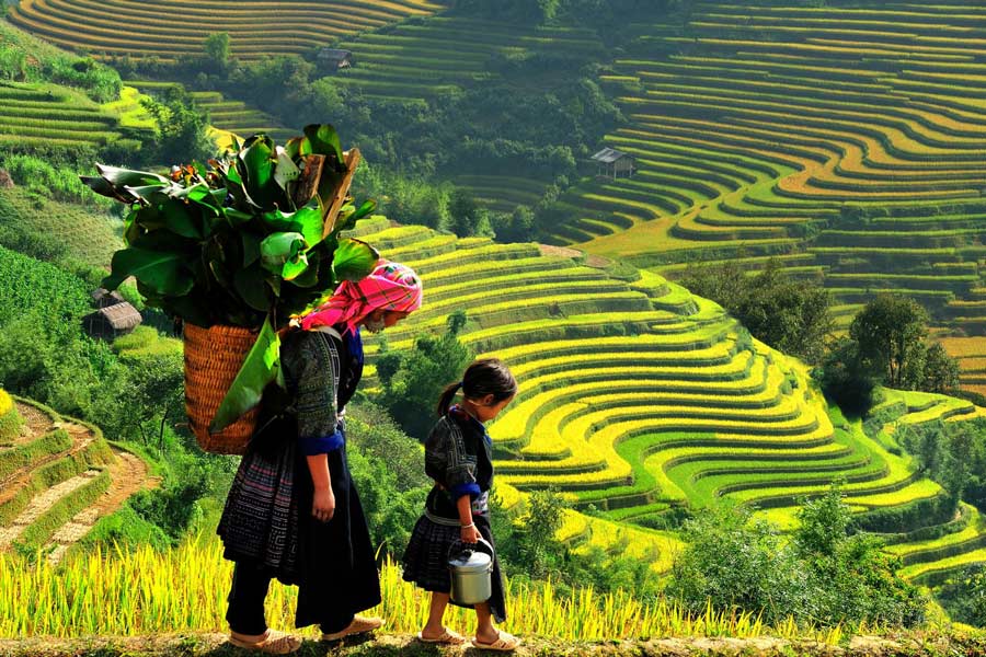 Voyage à Mu Cang Chai: Que faire si vous n'avez qu'une journée ?