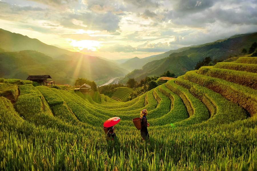 Voyage à Mu Cang Chai: Que faire si vous n'avez qu'une journée ?