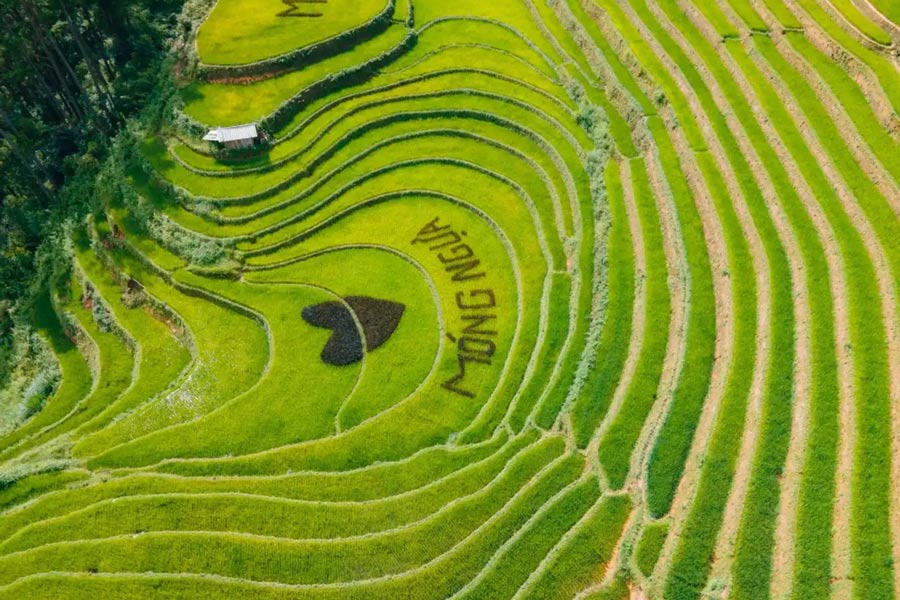 Voyage à Mu Cang Chai: Que faire si vous n'avez qu'une journée ?