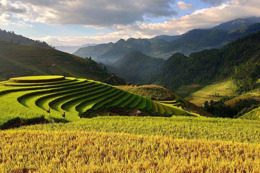 Voyage au Vietnam en août - À lire pour un séjour mémorable