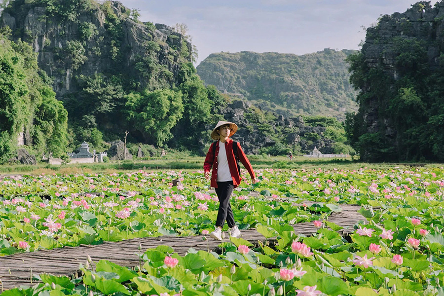 Ninh Binh, surnommée la baie d’Halong terrestre, est une destination incontournable pour un voyage au Vietnam en septembre