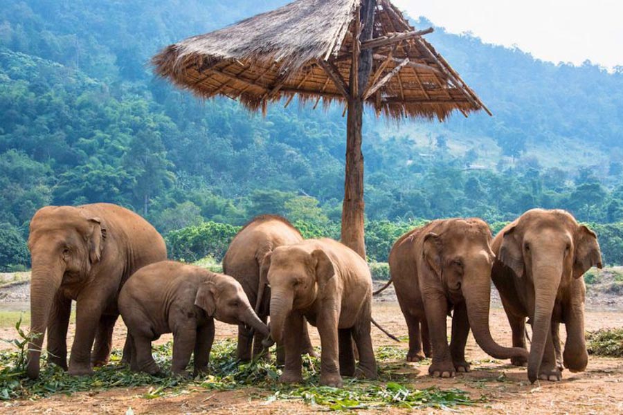 Voyage combiné Thaïlande-Cambodge sans avion