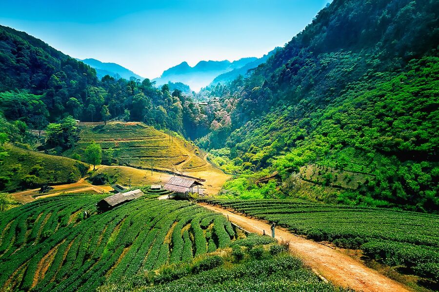 Le nord de la Thaïlande offre un cadre idéal pour un voyage en Thaïlande en famille