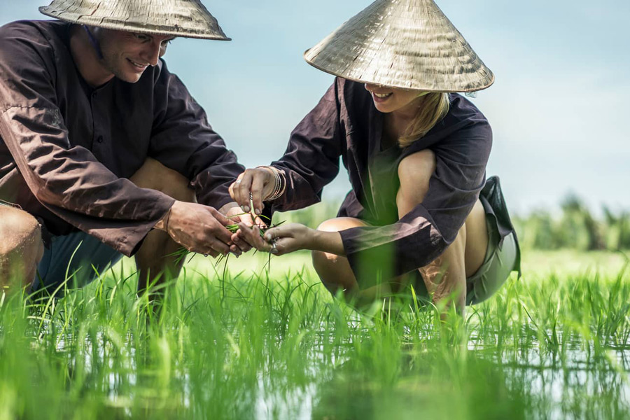 Voyage responsable au Vietnam