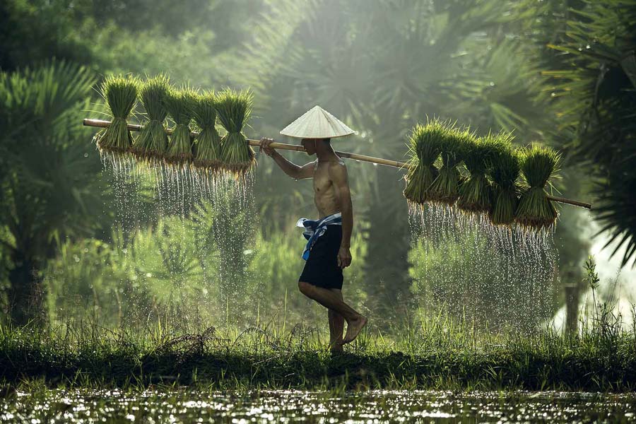 Voyage Vietnam-Cambodge 3 semaines