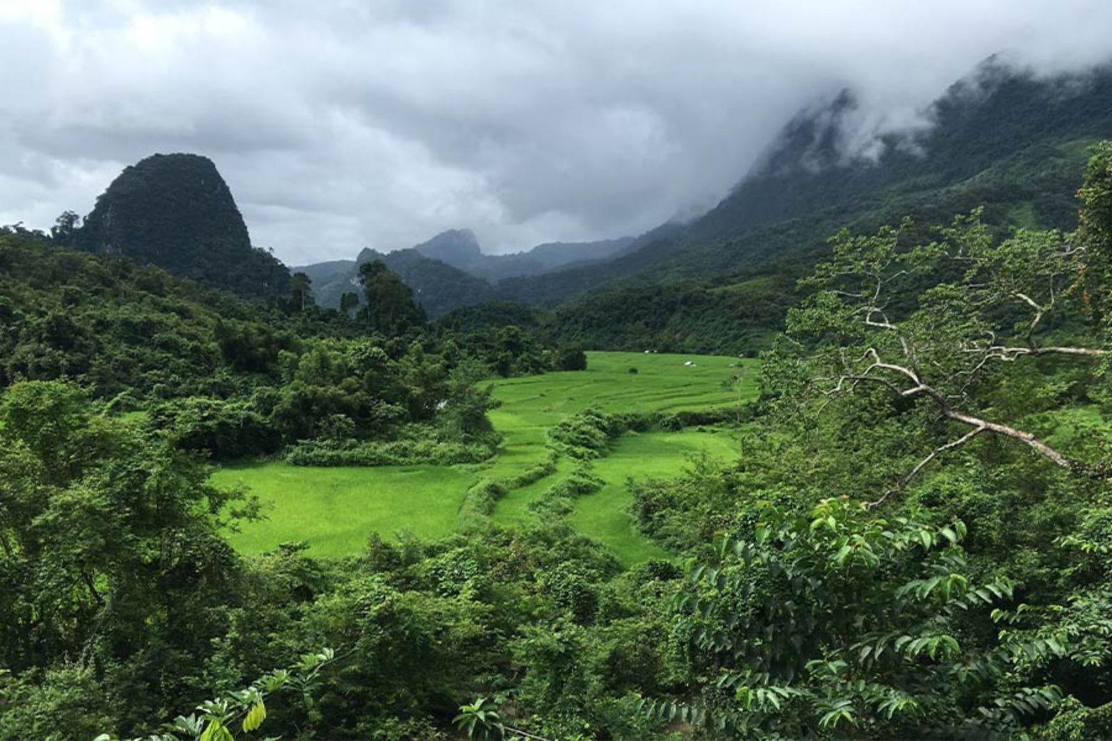 Voyager au Laos en août : Guide complet météo, budget et conseils