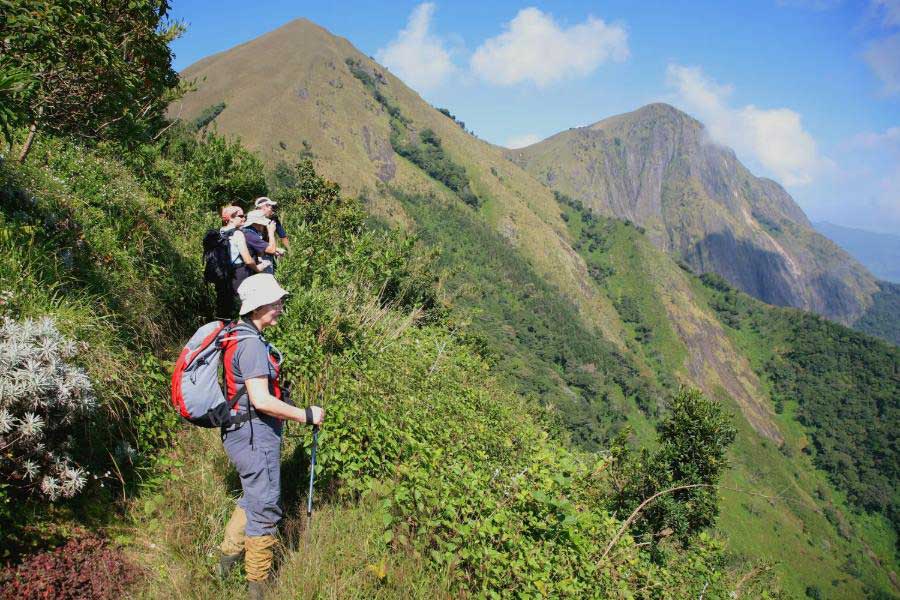 Quelle période choisir pour voyager dans les régions montagneuses ?