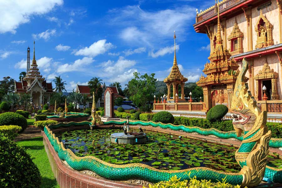 Grand jardin avec de nombreuses espèces de plantes
