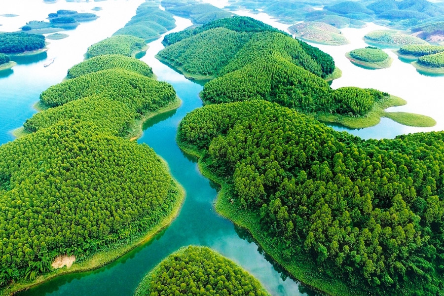 Paysages pittoresques de Yen Bai, entre montagnes et rizières en terrasses