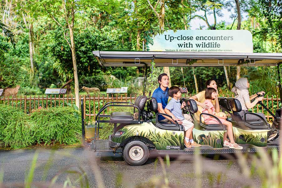 La meilleure saison pour visiter le zoo de Singapour
