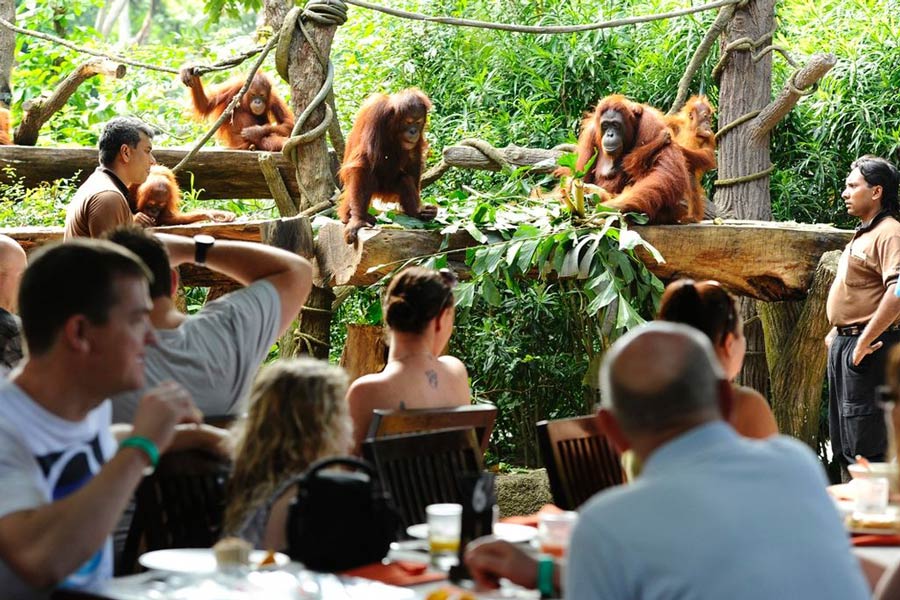 Restaurant Ah Meng au Zoo de Singapour